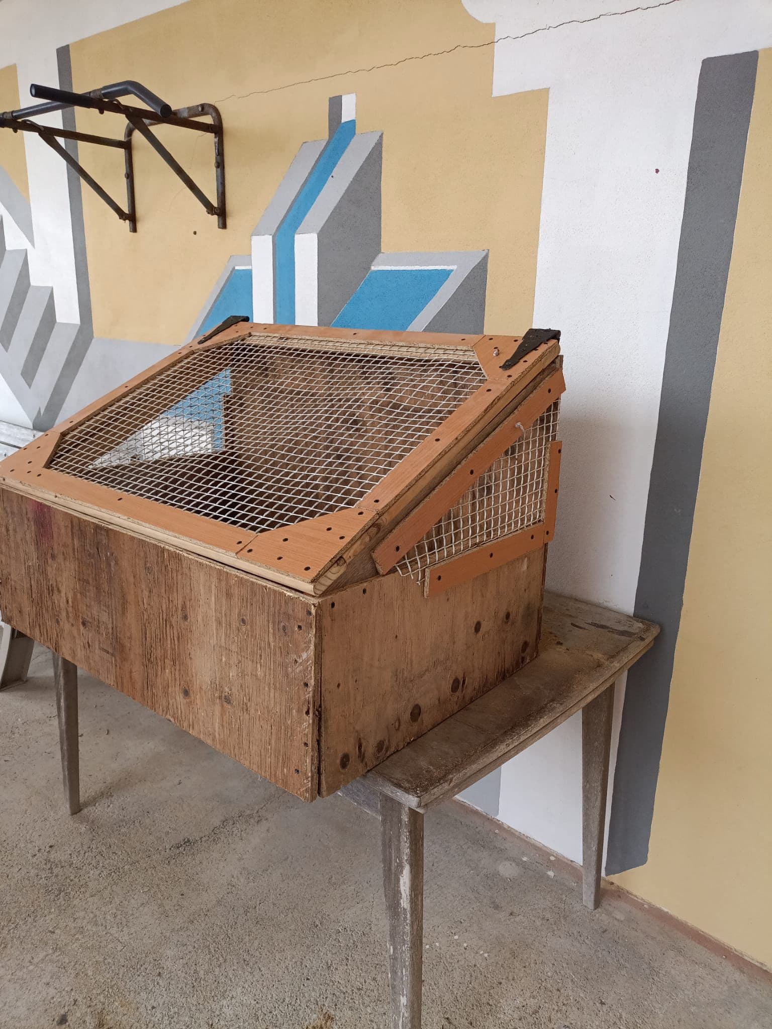 A handmade wooden outdoor turtle enclosure with a secure mesh lid